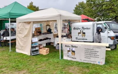Bauernmarkt in Pluwig
