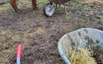 Wir suchen 1-2 Helfer*innen