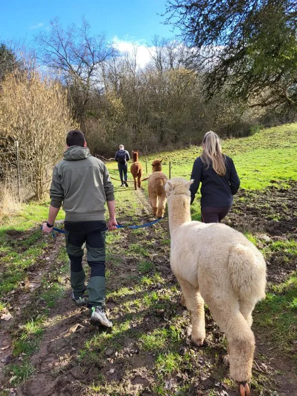 K800_Wanderung_Winter